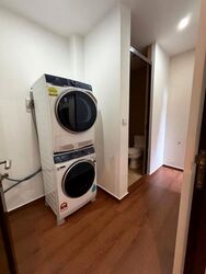 Holland Link (D10), Terrace #631089881